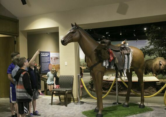 Children wonder about the size of the horse in the lobby at the Chisholm Trail Heritage Center in Duncan. Join a Zoom meeting 3 p.m. Wednesday, April 22, to learn what a cowboy carries when traveling on a cattle drive. Details will be on the museum's page on Facebook.