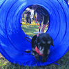 The Marlow Review staff and volunteers invited attendees to try out an agility course for dogs at Bark in the Park.